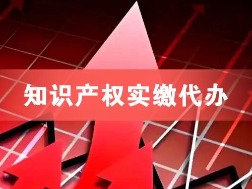 株洲知识产权实缴资本代办